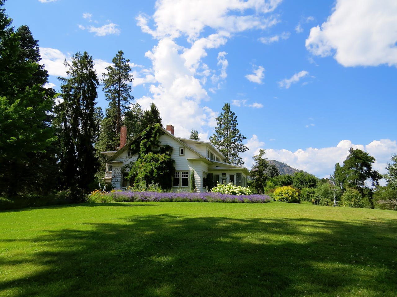 Low-Maintenance and Fire-Resistant Exterior Materials for Mountain Homes